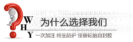 ��ʲô�x���҂�